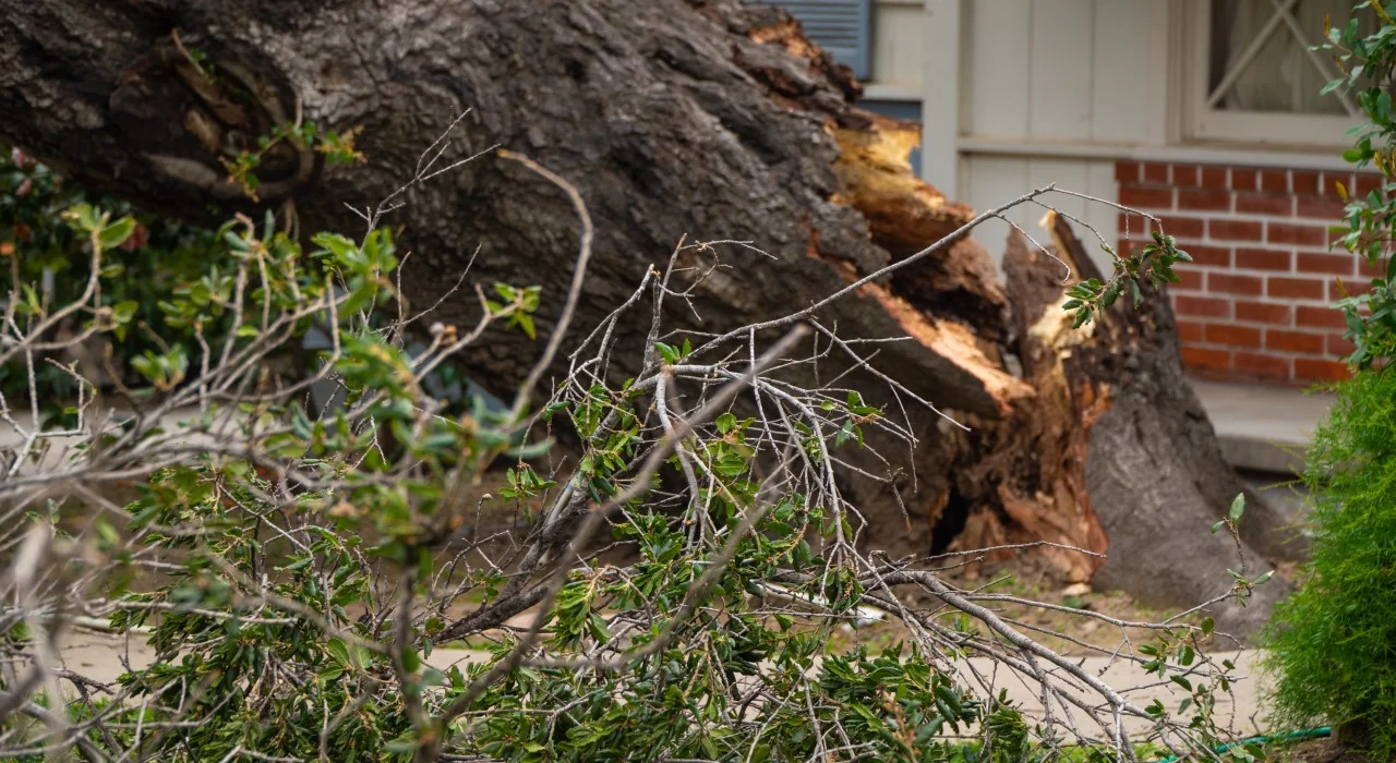 Hurricane Safety: What To Do After a Hurricane